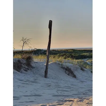 Holly Comfortable Holiday home Borkum