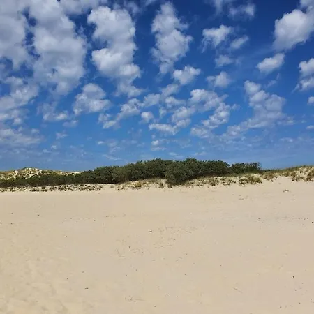 Holly Comfortable * Borkum