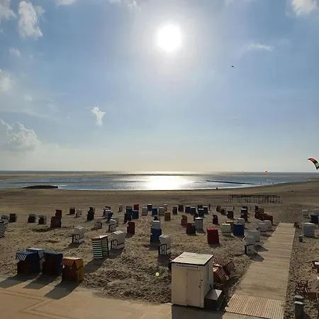 Holly Comfortable * Borkum